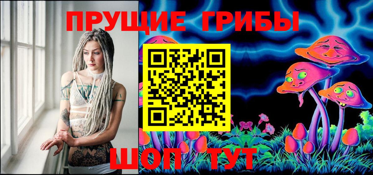 Псилоцибиновые грибы Cubensis Ликино-Дулёво